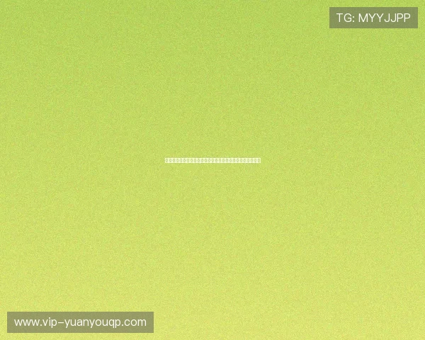 色碟真人国际：多样化的娱乐内容满足不同用户的个性化需求