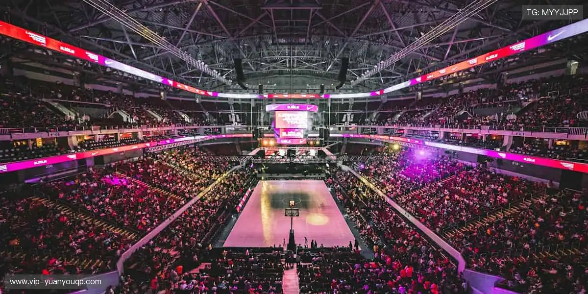 ⚾️从本土联赛到国际巅峰，我们承包你的所有热爱！🌍